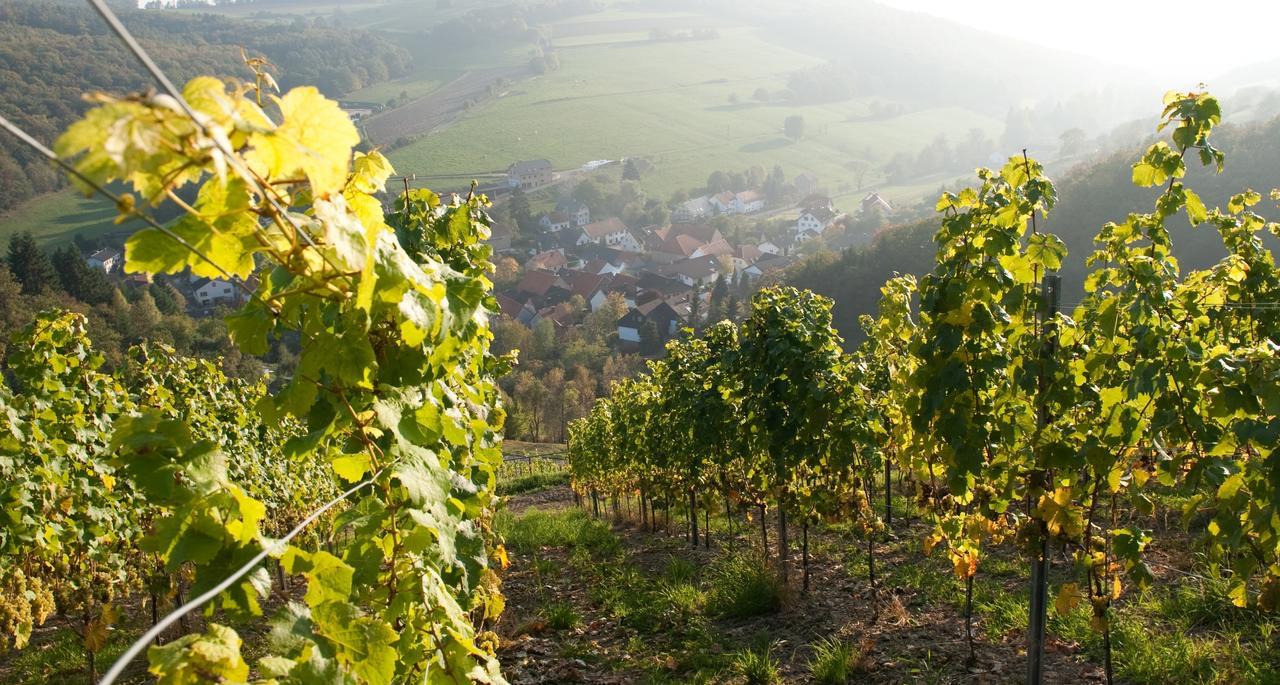 Weingut Hees - Landgasthof Zum Jaeger Aus Kurpfalz Auen ภายนอก รูปภาพ