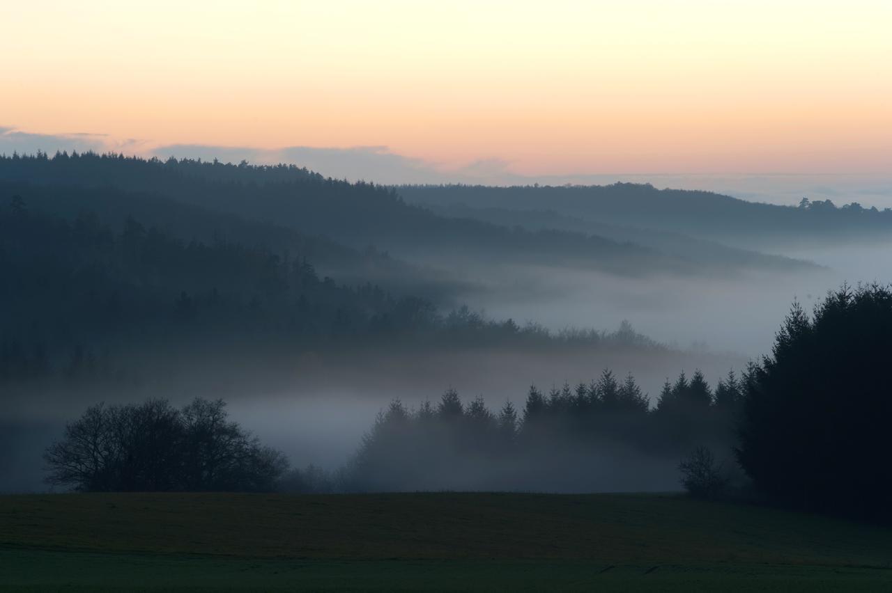 Weingut Hees - Landgasthof Zum Jaeger Aus Kurpfalz Auen ภายนอก รูปภาพ