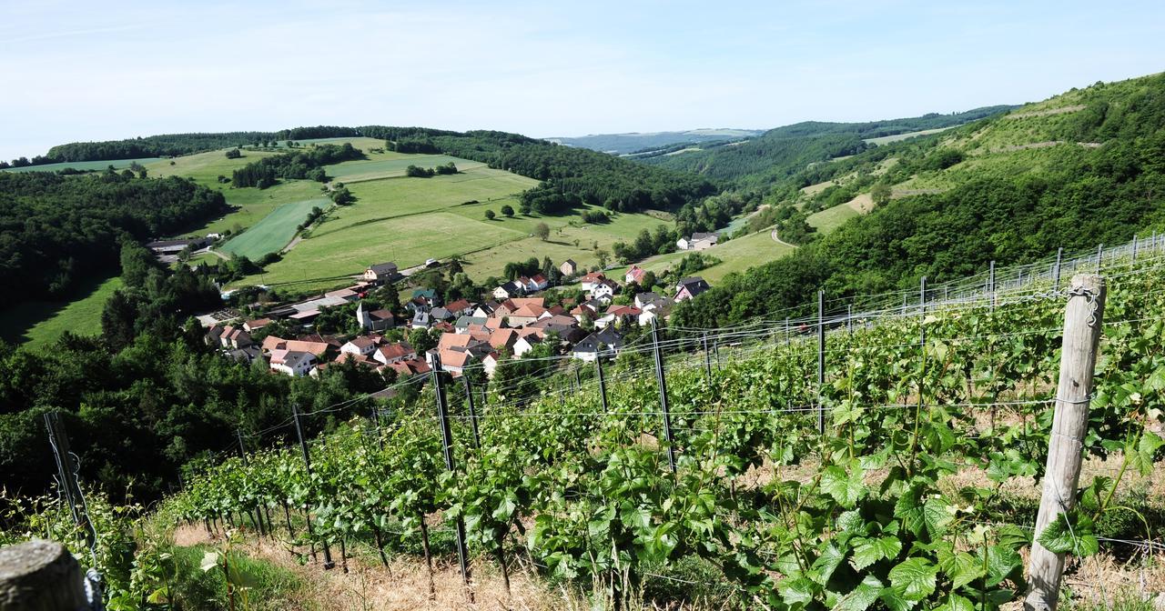 Weingut Hees - Landgasthof Zum Jaeger Aus Kurpfalz Auen ภายนอก รูปภาพ