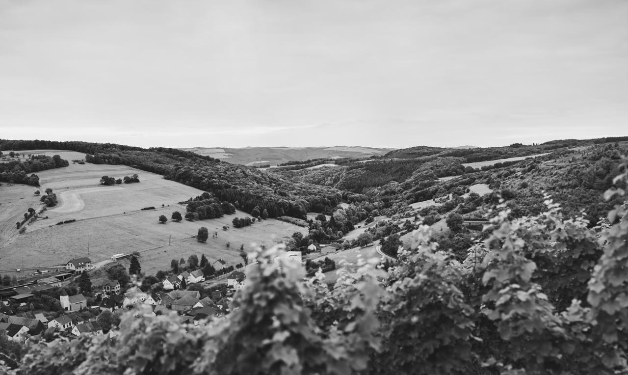 Weingut Hees - Landgasthof Zum Jaeger Aus Kurpfalz Auen ภายนอก รูปภาพ